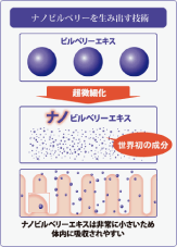 ナノビルベリーを生み出す技術